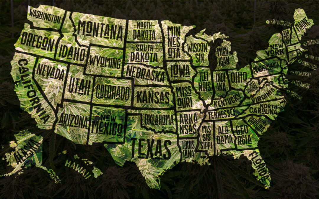 HOW TO KNOW IF A WEED VENDING MACHINE IS COMPLIANT IN YOUR STATE